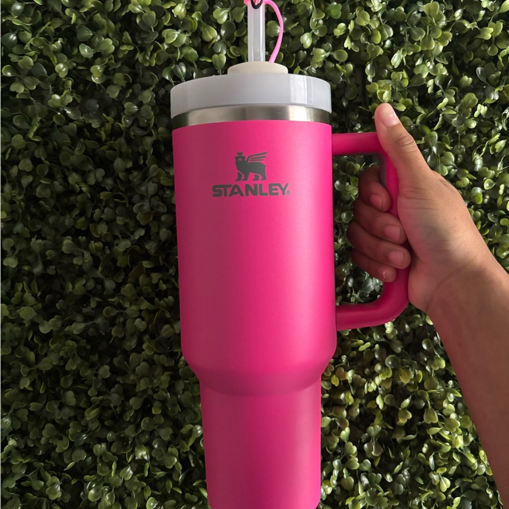 pink 30oz tumbler with lid and straw .